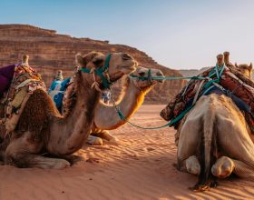 Jordania, un país con historia viva, paisajes únicos y gentes de una hospitalidad inolvidable.